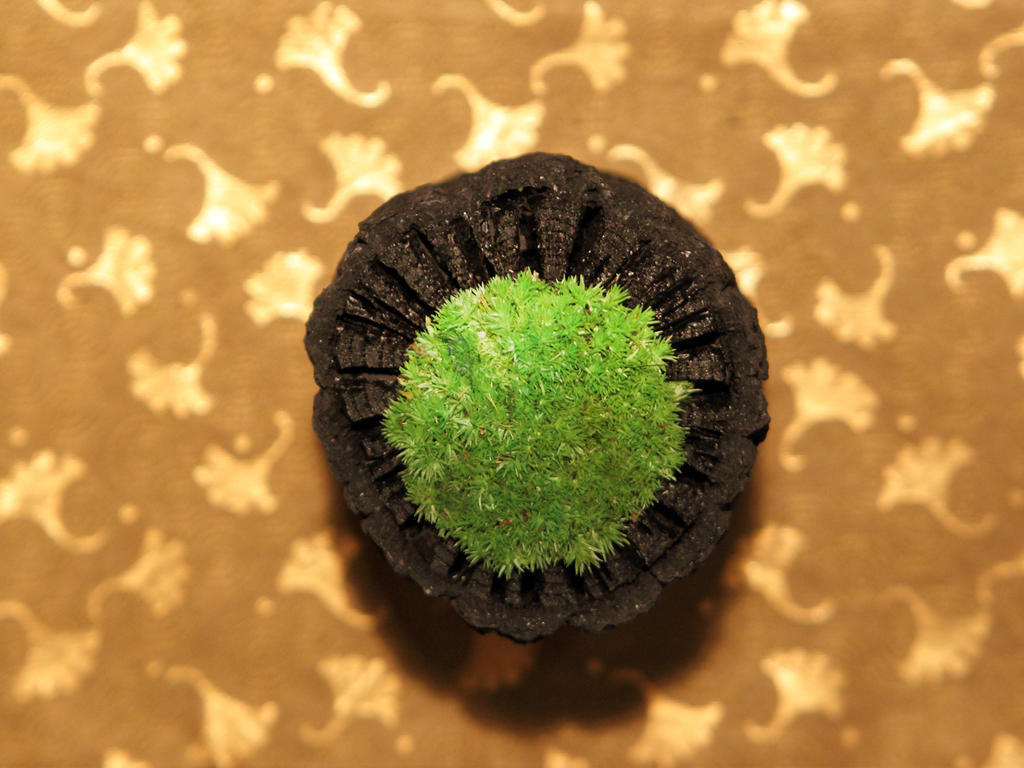 Asaya Hotel Nikko Ngoại thất bức ảnh A green Starburst